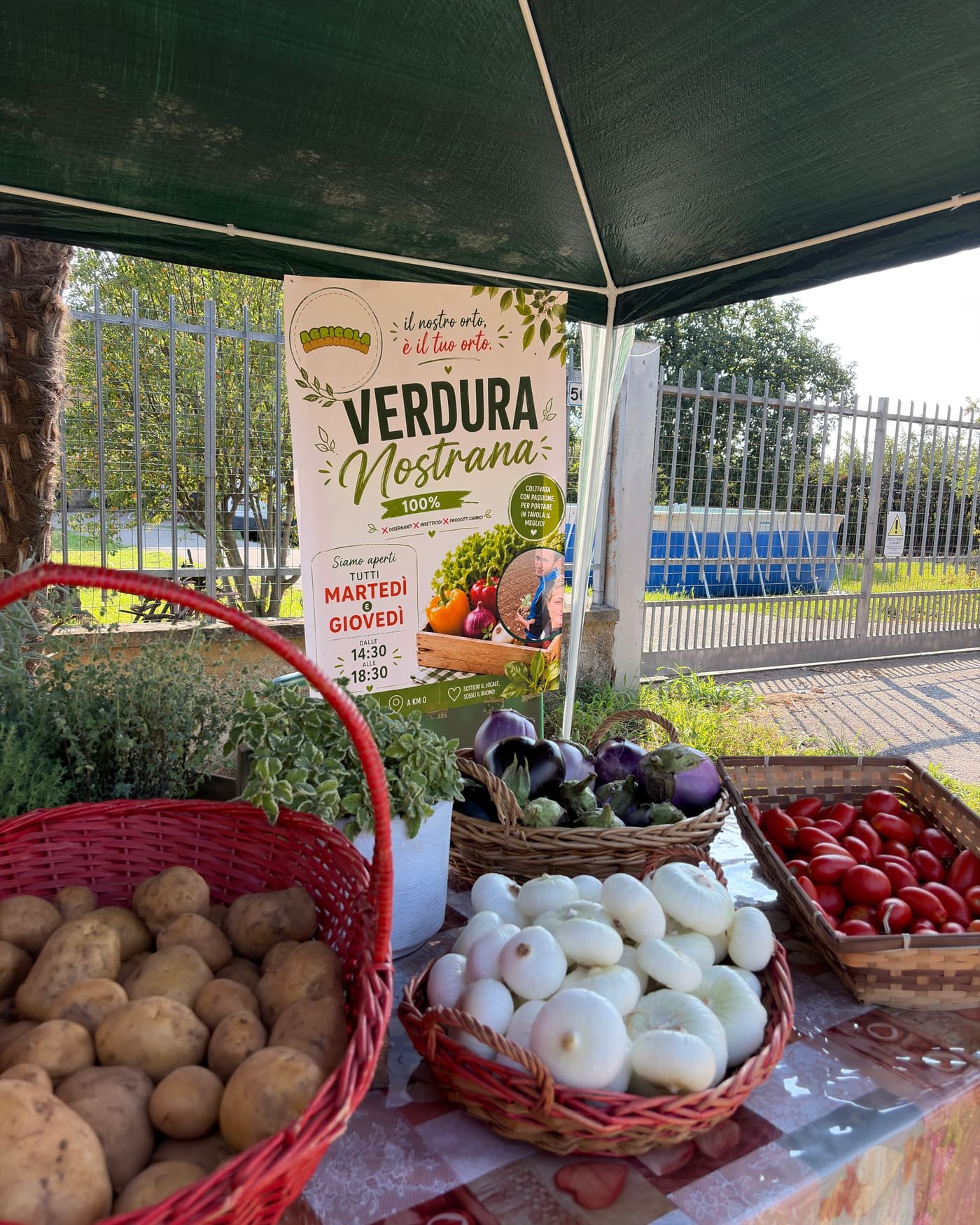 Il banco del chioschetto con il cartello Verdura Nostrana, ceste di patate, cipolle bianche, melanzane e pomodori