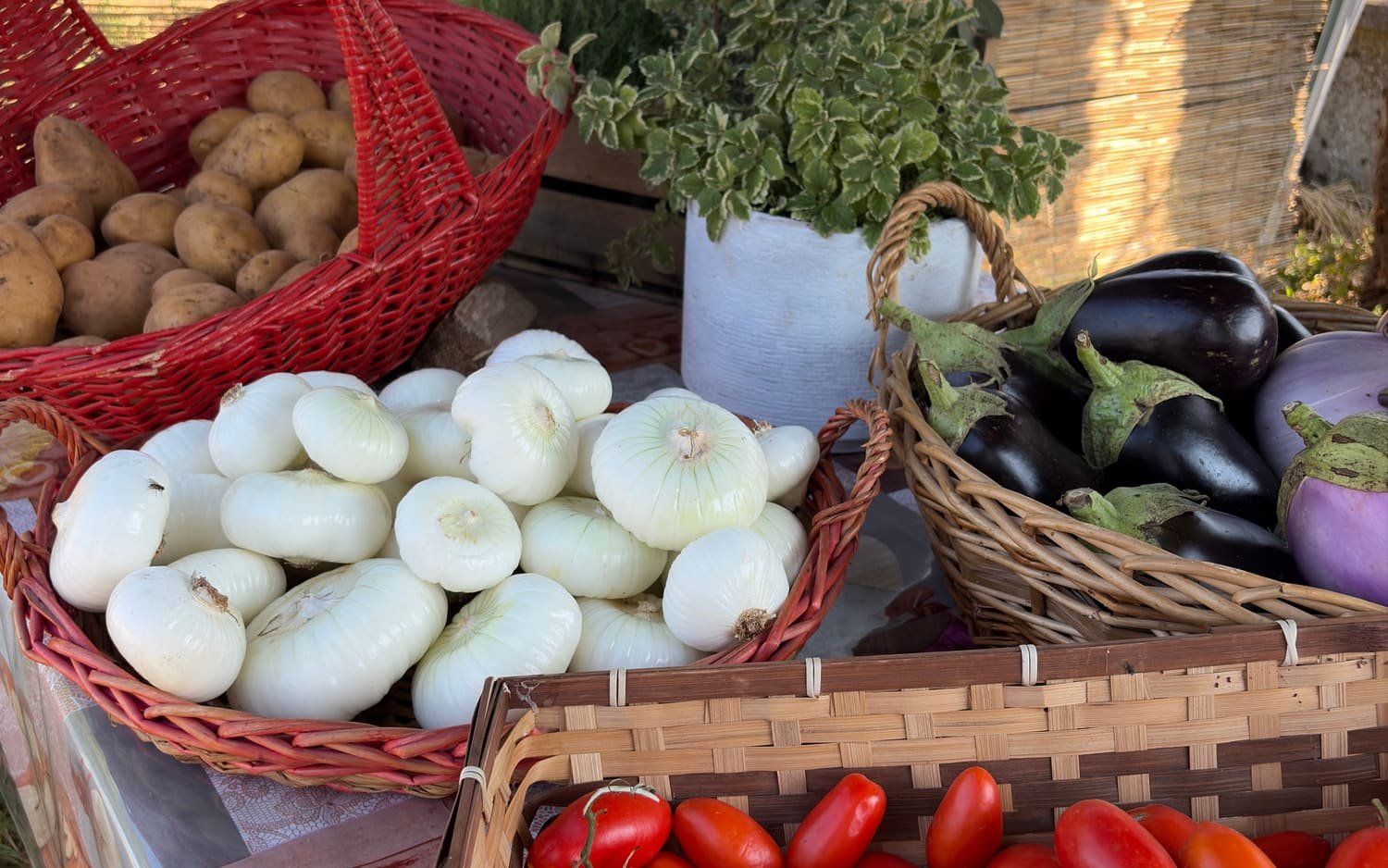 Ceste di vimini con patate, cipolle bianche, melanzane e pomodori sul banco del chioschetto
